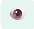 icon-Real-Time Visibility
