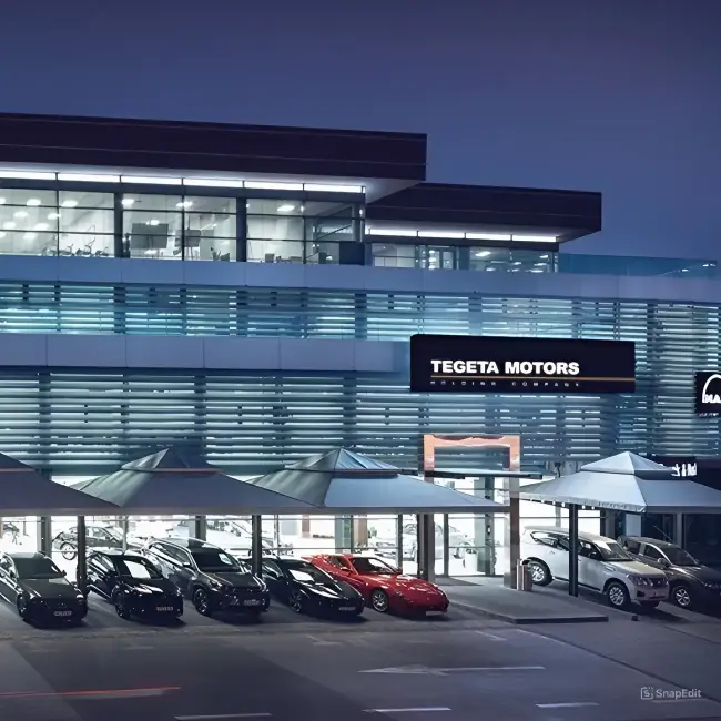 A Tegeta Motors, uma das principais distribuidoras de autopeças da Geórgia, otimiza o estoque com o LEAFIO AI