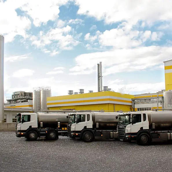 Modern Logistics Solutions for Loostdorf: From Challenges to Successful Optimization